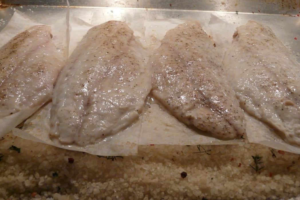 Kulinarische Welten zu Fisch- und Meeresfrucht: Dorade auf der ...