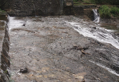 Koleksi Foto Gambar Natural Alam