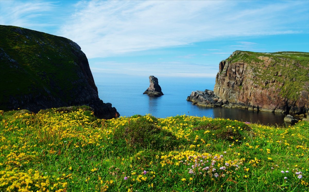 BSBI News & Views Five Island Bioblitz Part One Tory Island