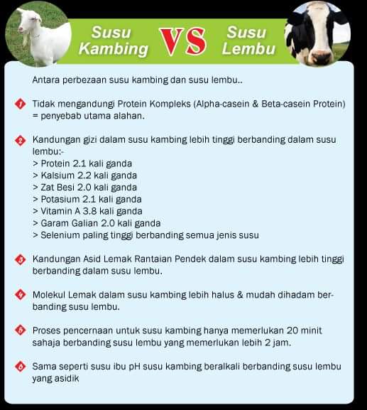 Perbezaan Susu Kambing Dan Susu Lembu Perbezaan Susu Kambing Dan Susu Lembu