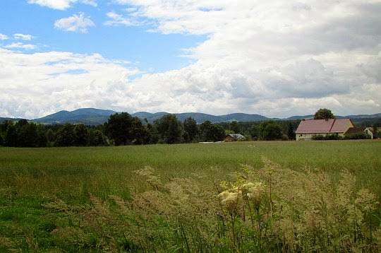 Panorama Gór Złotych (czes. Rychlebské hory) z szosy do Błotnicy. Panorama Gór Złotych (czes. Rychlebské hory) z szosy do Błotnicy.