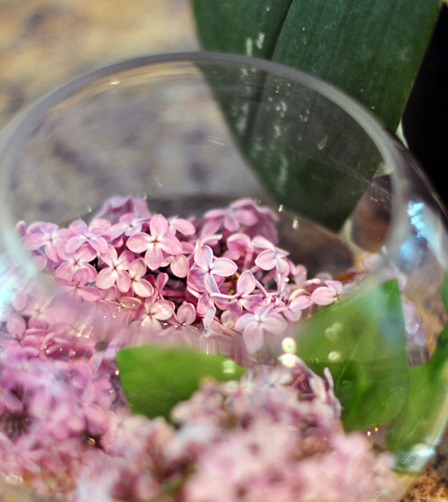 fresh cut lilacs, flowers as decor