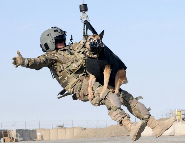 mwd military