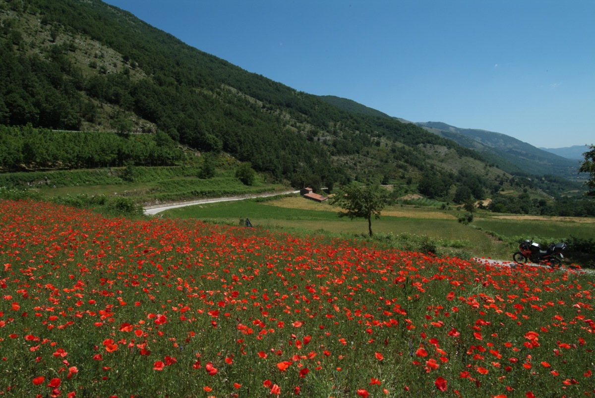 Landsails CAMPANIA cilento