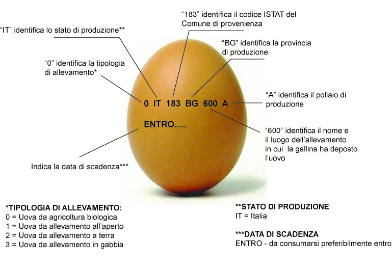 Glamour Cooking La carta d'identità delle uova Glamour Cooking La carta d'identità delle uova