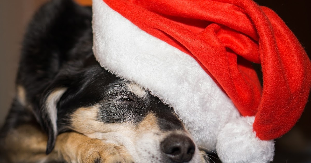10 choses à faire le lendemain de Noël ! Comme On Est