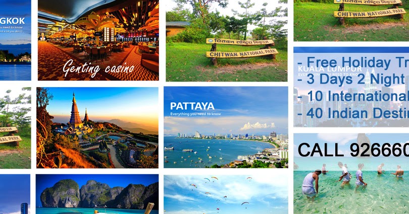 Sweet potato business plan picture