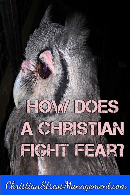 How Does a Christian Fight Fear?