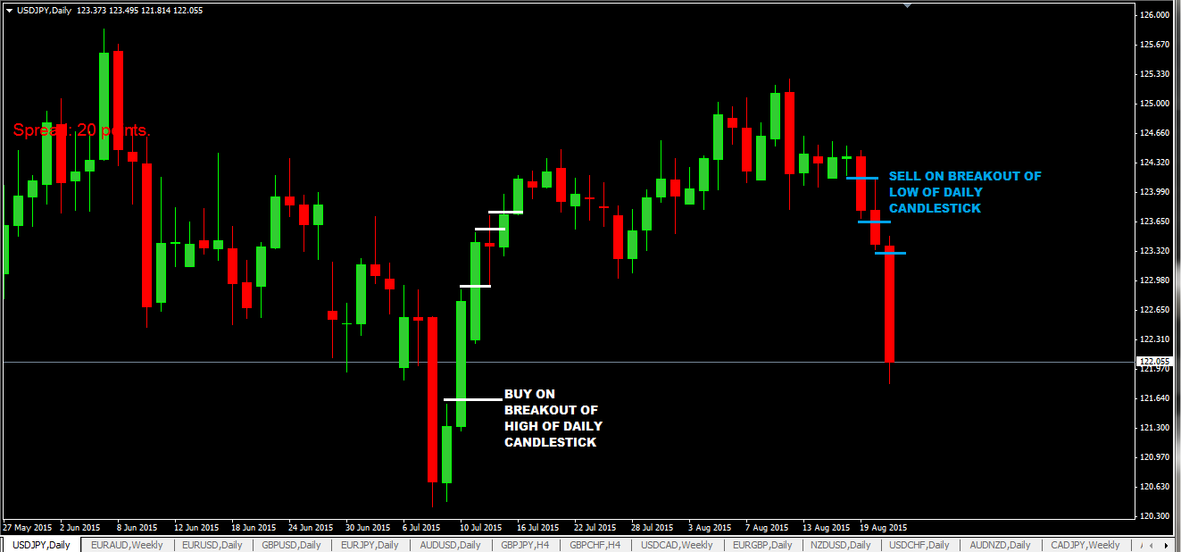 6 pip forex