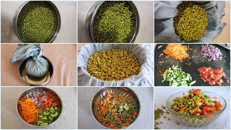 How to Sprout Moong Beans 
