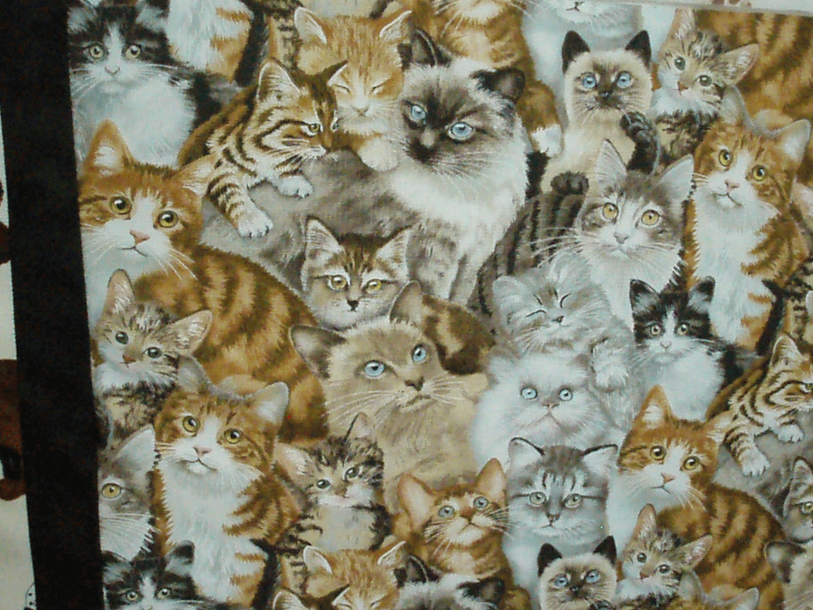 Remember Your Karma Dog And Cat Fabric Choices Dog And Cat Fabric Choices