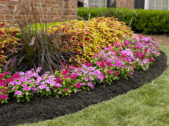 landscaping landscaping