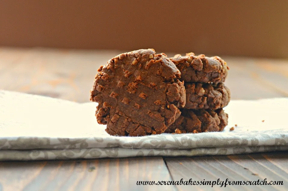 Chocolate Peanut Butter Oatmeal Protein Cookies