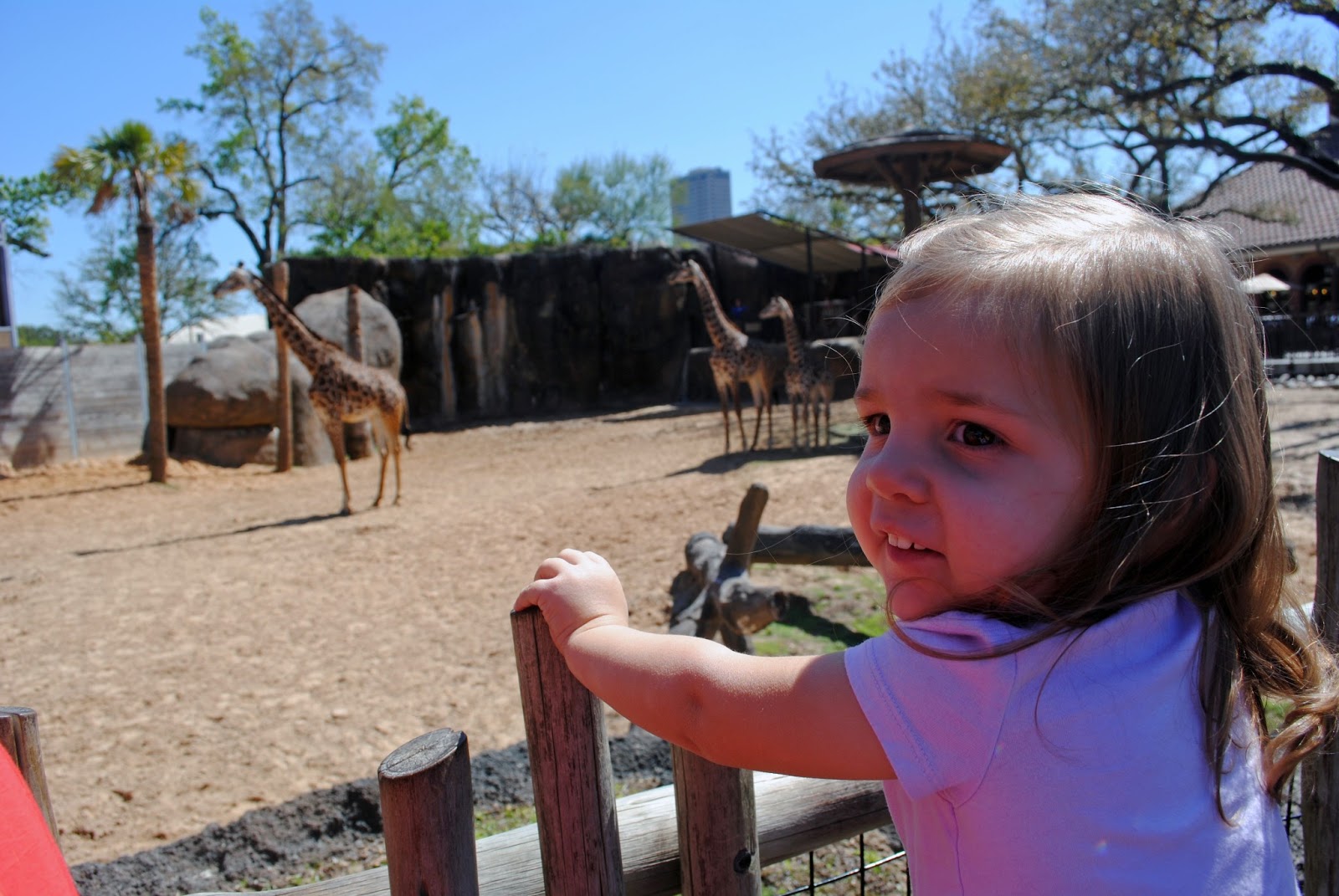 Live Laugh Lopez Spring Break at the Zoo