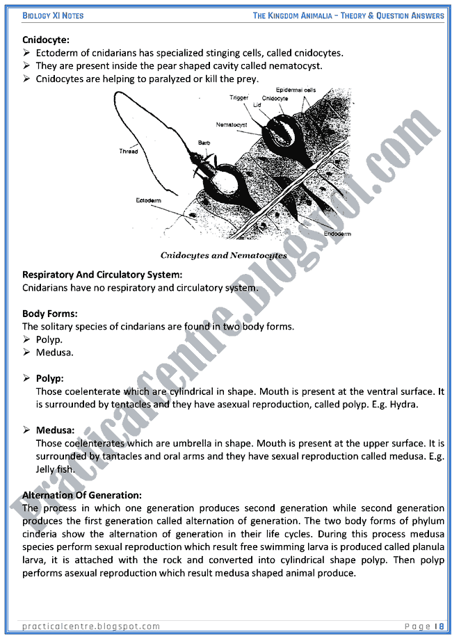 Kingdom Animalia - Theory And Questions Answers - Biology XI