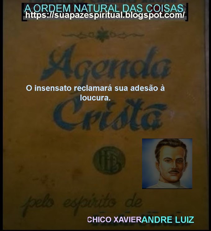 DIARIO CRISTÃO (42)-andre luiz