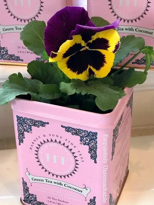 Upcycled Tea Tins As Indoor Flower Pots