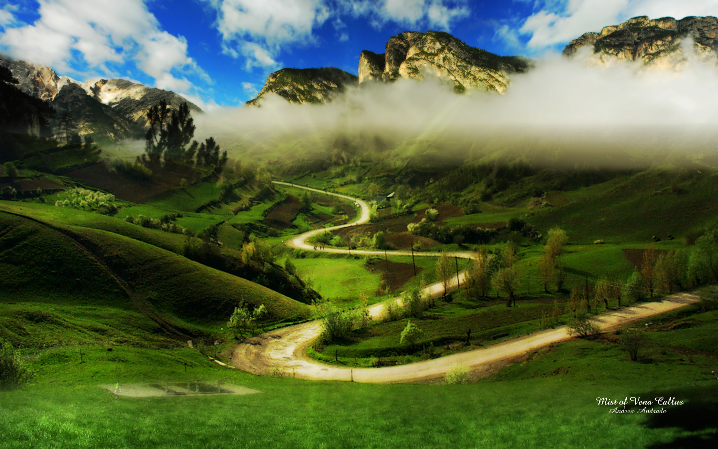 Fondo de Pantalla Naturaleza Cuadro pintado