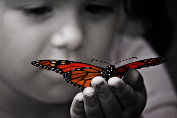 “ Justo quando a lagarta achava que o mundo havia terminado... ela virou borboleta” !!!