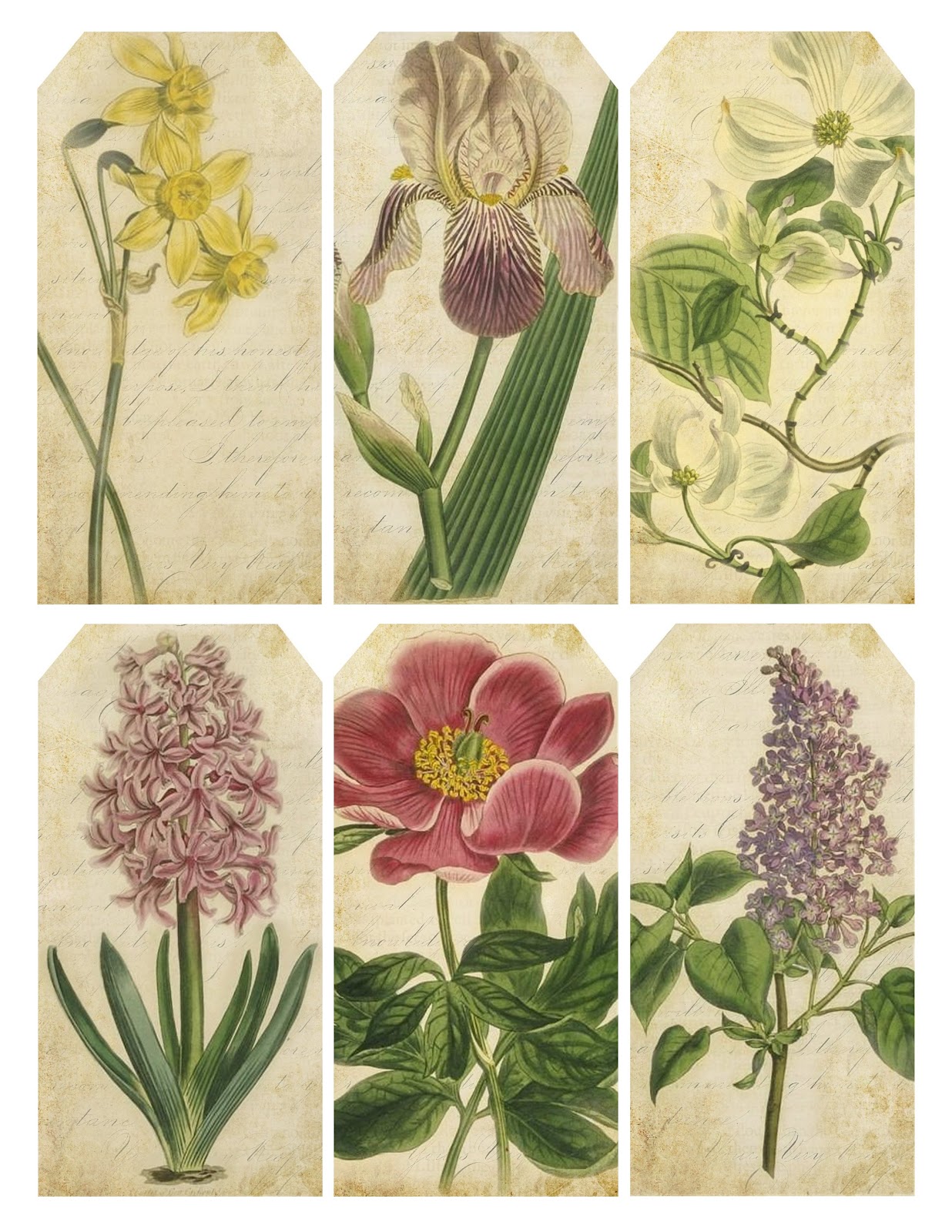 Lilac Lavender Vintage Spring Botanicals Lilac Lavender Vintage Spring Botanicals
