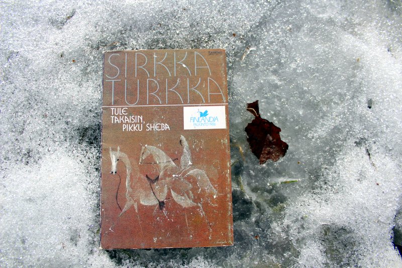 Luettua elämää Sirkka Turkka Tule takaisin, pikku Sheba