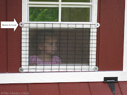 chicken coop cloth hardware security wire chick secure screws window staples coops chickens washers pushing runs windows defeated pulling easily