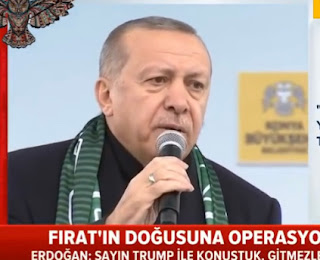 Fatih Portakal mı? Mandalina mı? Narenciye mi? Fatih Portakal mı? Mandalina mı? Narenciye mi?
