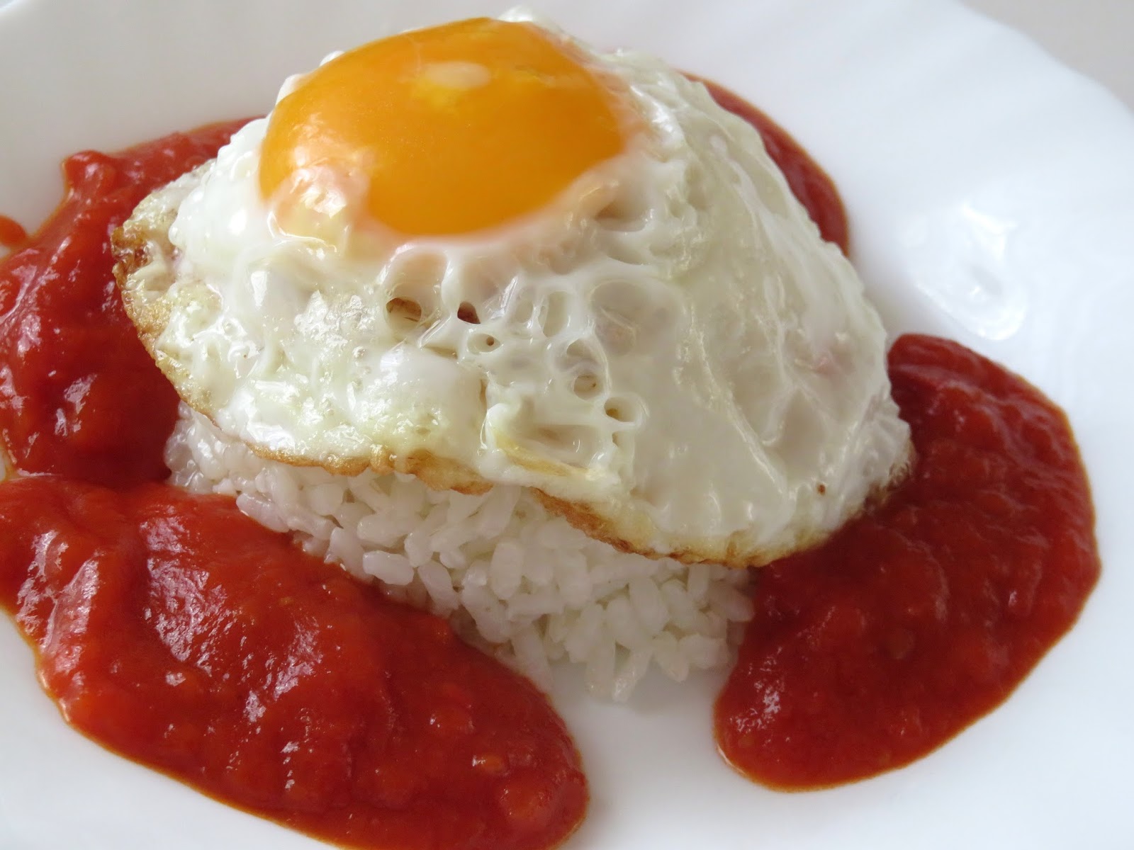 Recetas Monsieur Cuisine Arroz con Tomate