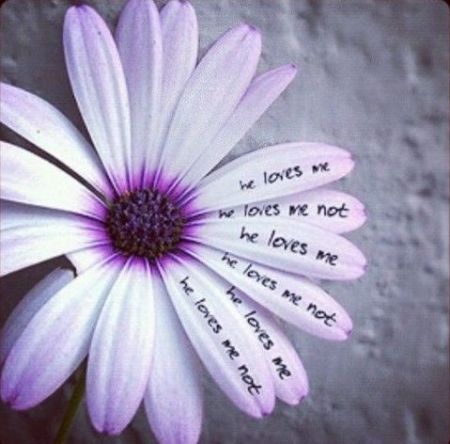 All Quotes Collection: Sad Quotes 001