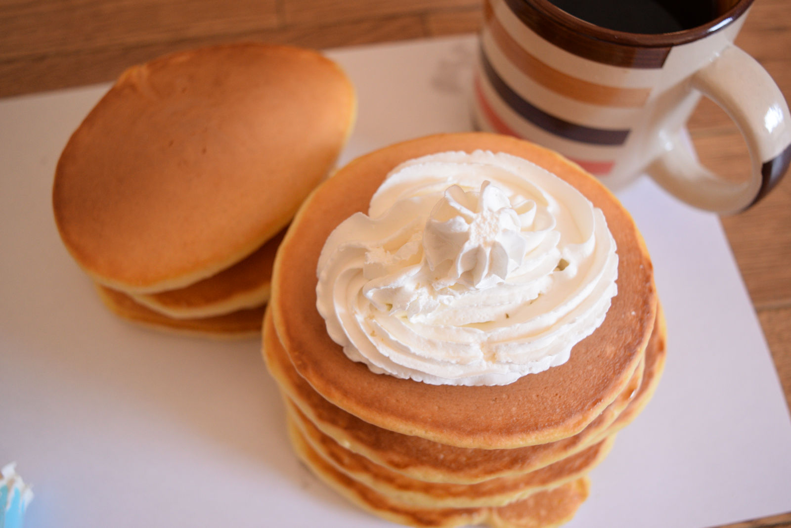 アリの部位 - アリの腹部