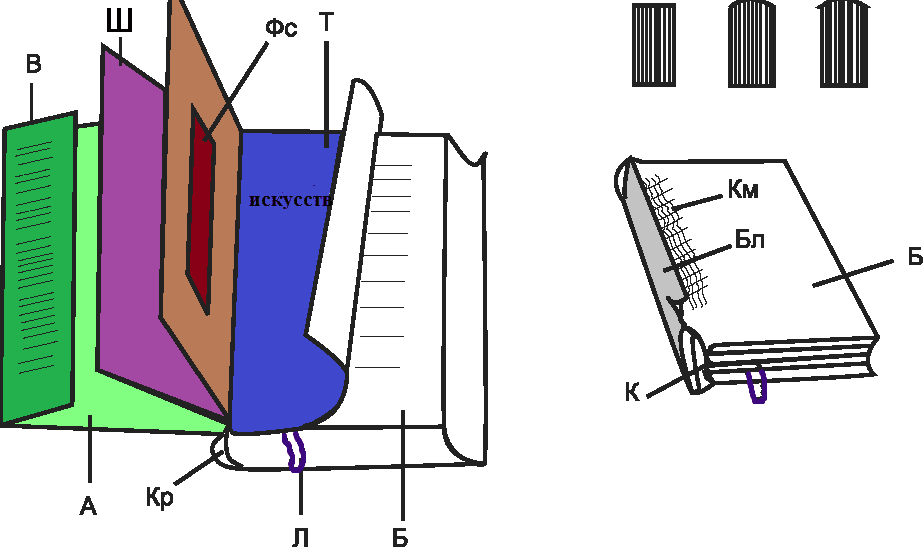 Рисунок из чего состоит книга. Как называются части книги сзади. Как называется часть книги сбоку. Из чего состоит книга схема. Как называются страницы книги сбоку.