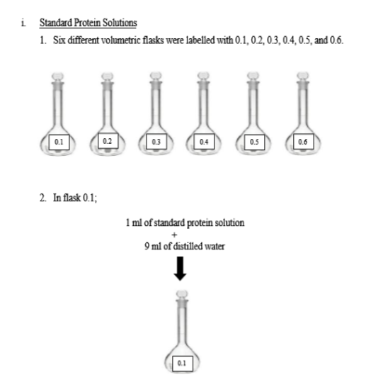 View of biochemistry: Practical 2 : Protein Experiment