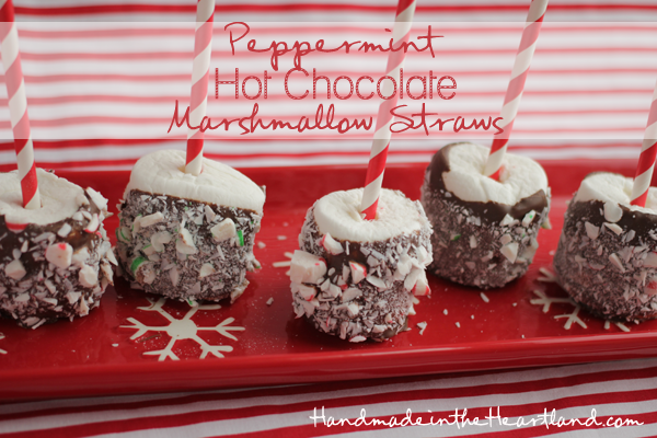Peppermint Hot chocolate Marshmallow Straws