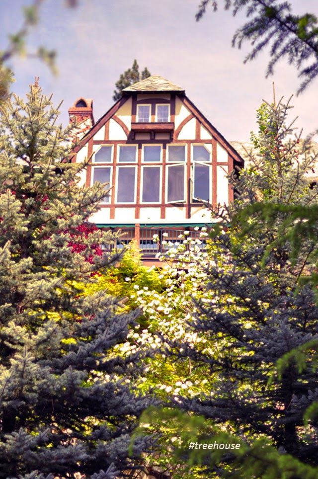 house up in the trees, lake arrowhead