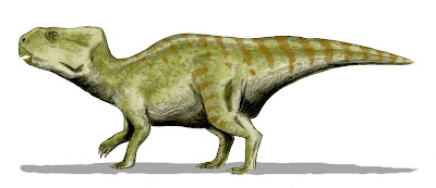 Auroraceratops