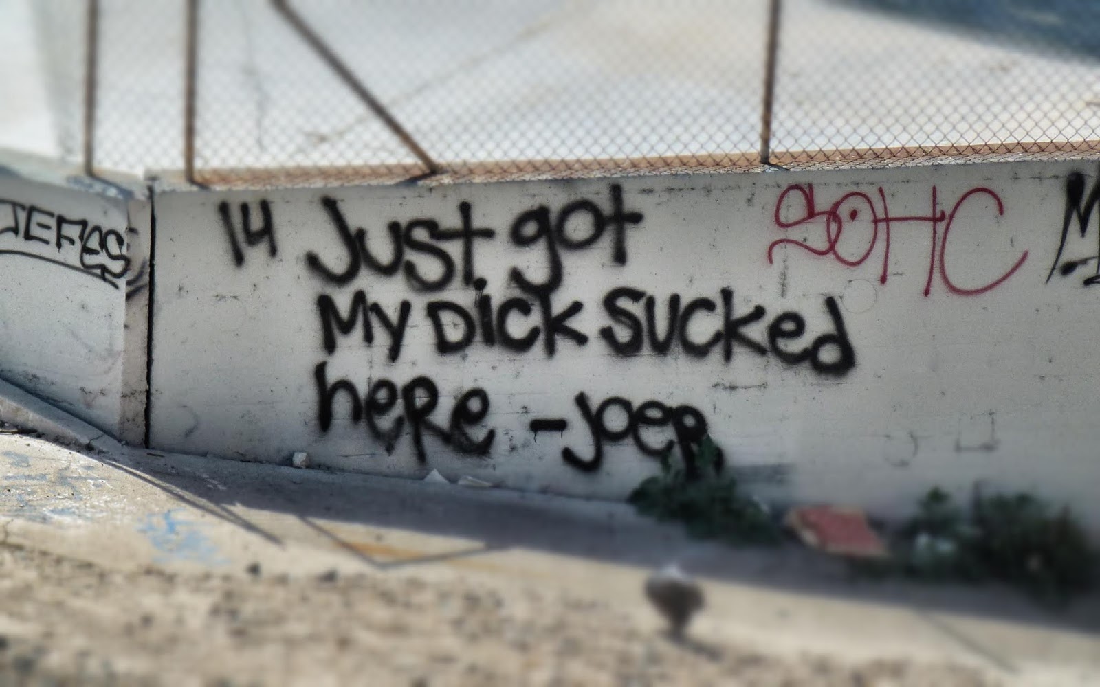 Ppq Akute Nachrichten Aus Dem Notstandsgebiet Angst Analyse