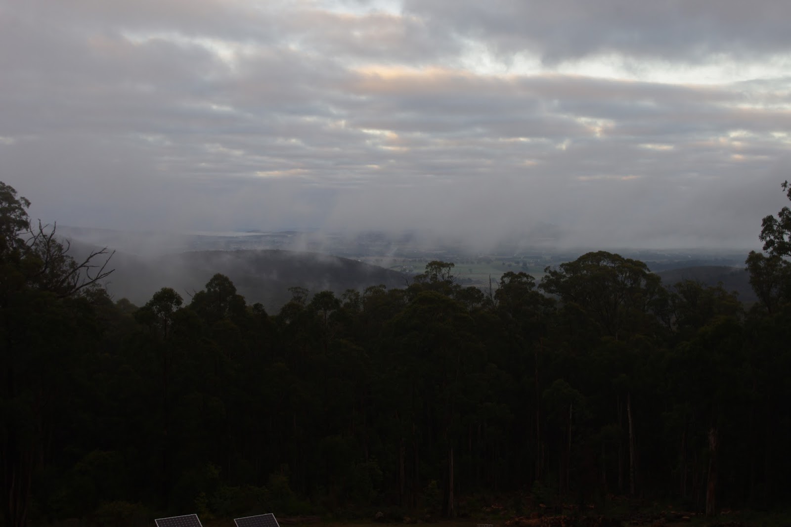 Mist rises over the valley as humidity is well over 90%