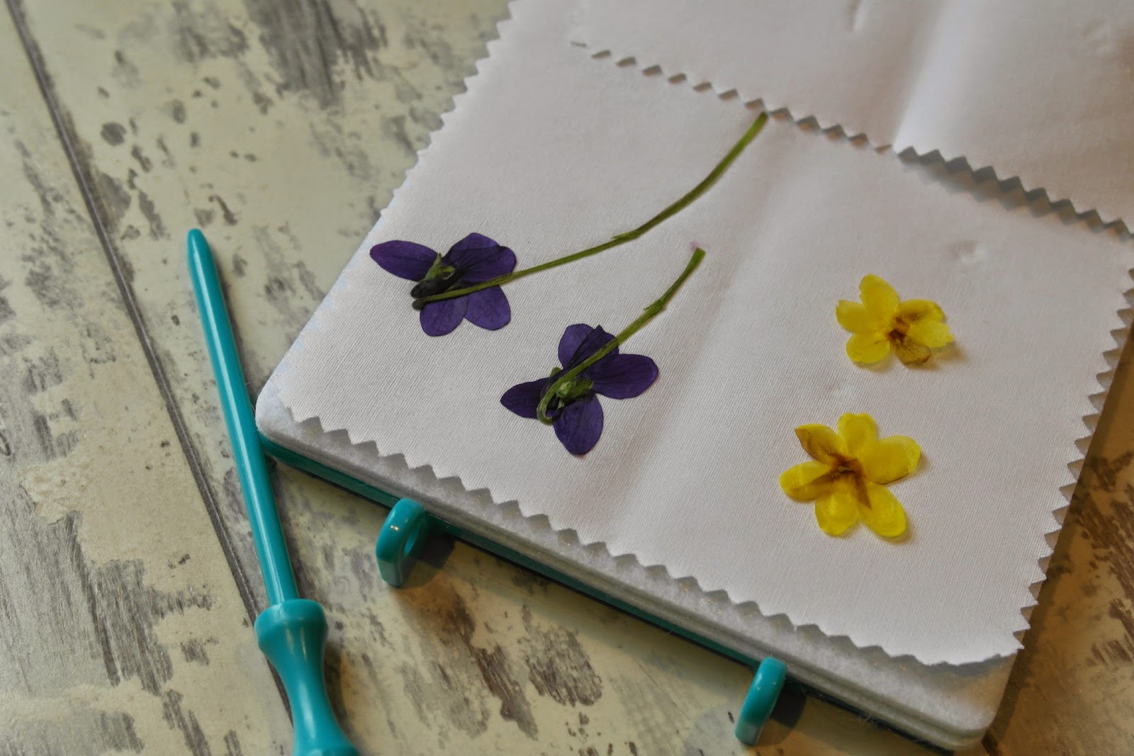 Me and my shadow Interplay Instant Flower Press