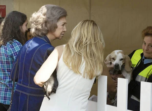 Rainha Sofia dá o seu apoio a uma campanha para acolher cães abandonados