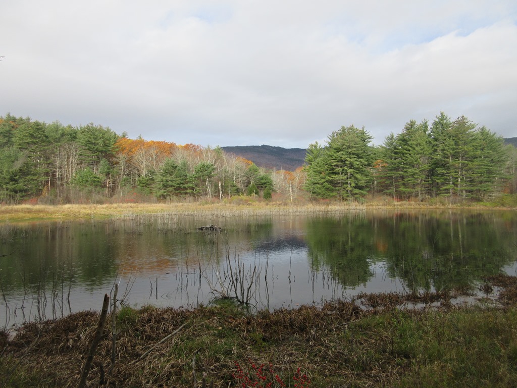 Mountain Wandering EAST RATTLESNAKE 11/5/17