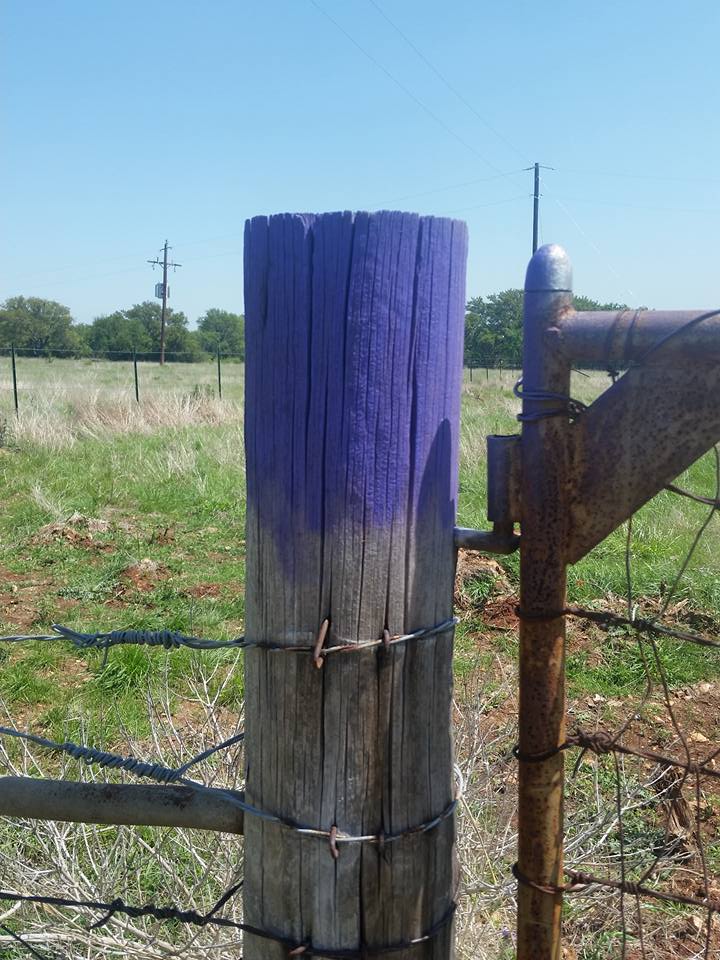 Purple Fence Posts in Texas Always On Liberty