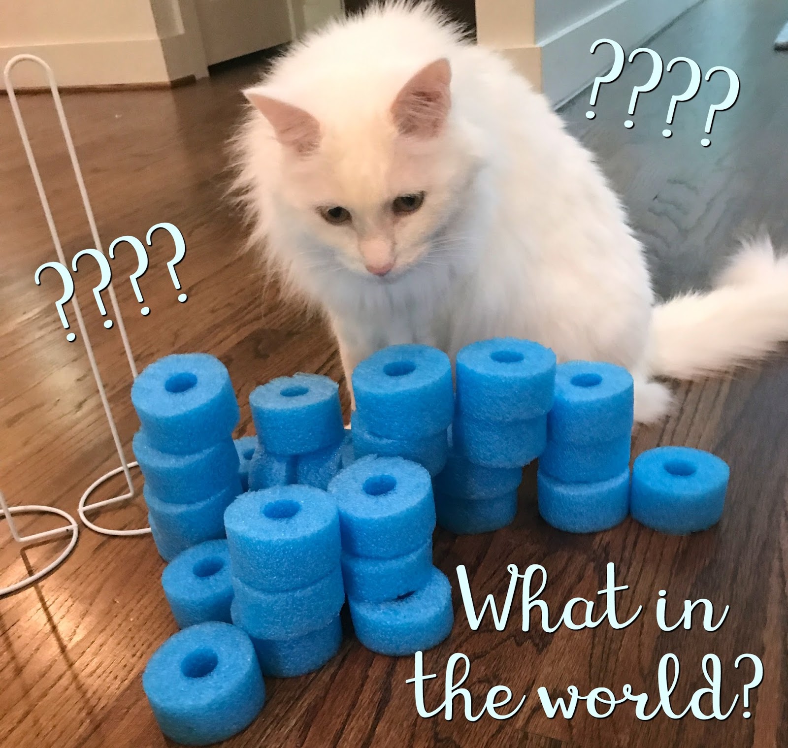 Word Work & Spelling with Pool Noodles TheHappyTeacher