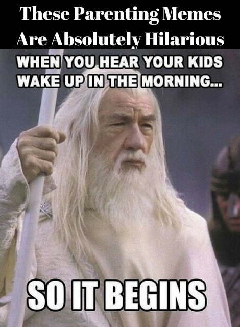 These Parenting Memes Are Absolutely Hilarious | Rosa For Life