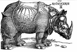 durer albrecht artist german painter woodcut rhinoceros woodcuts drawings rhino duerer drawing albrect etching 1515 rino animals mark rhinocerous carol