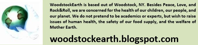 Woodstock Earth Blog