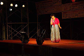 female vocalist, singing, stage, karaoke