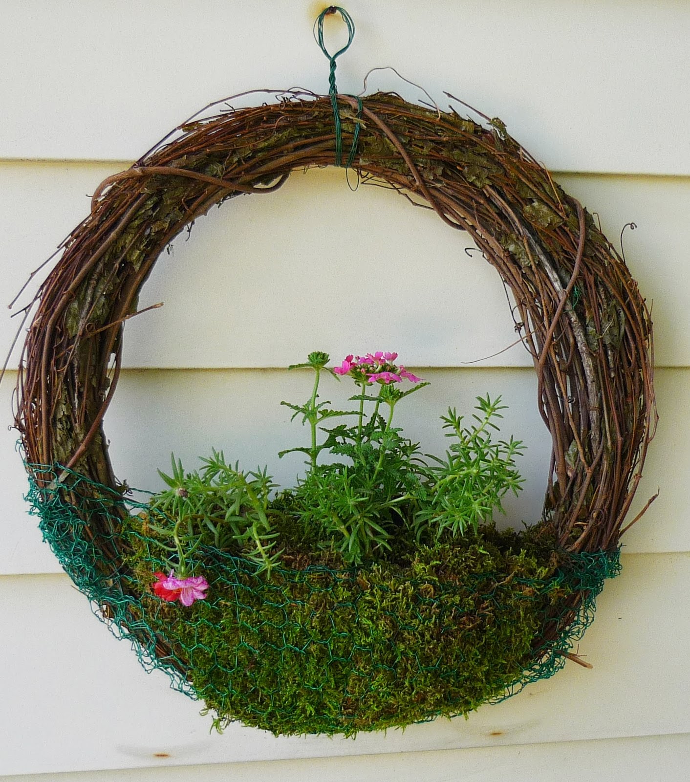 At Home in English Valley Planting in a Grapevine Wreath