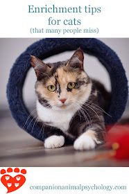 Where Do Most People Put Cat Littes Where Do Most People Put Cat Littes