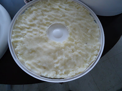 A thin layer of mashed potatoes spread in a dehydrator tray.