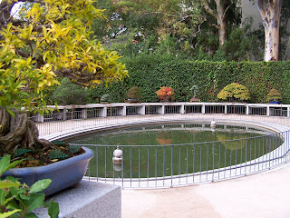 Real Jardín Botánico - Noviembre 2013 - www.ocioenfamilia.com